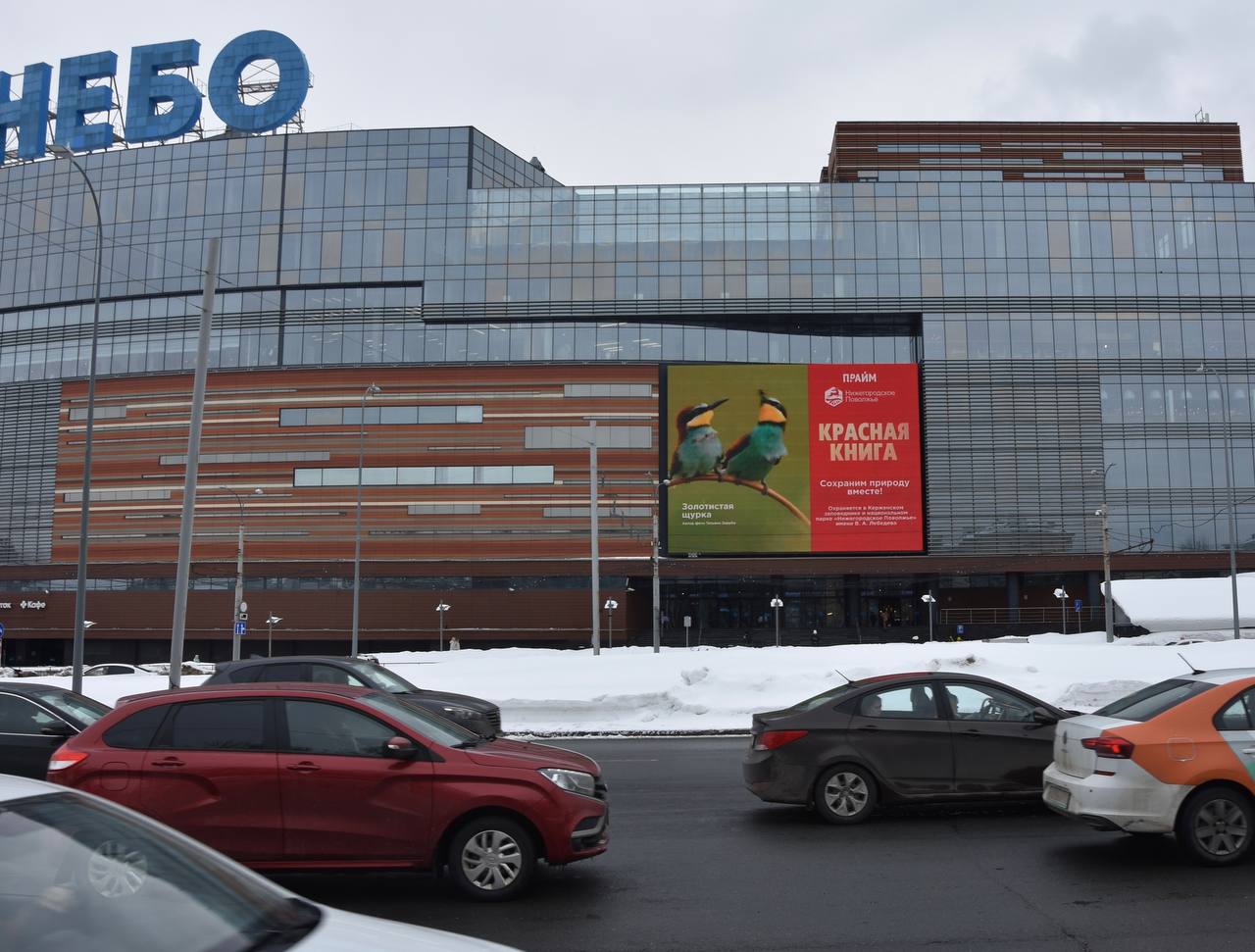 Проект "КРАСНАЯ КНИГА"